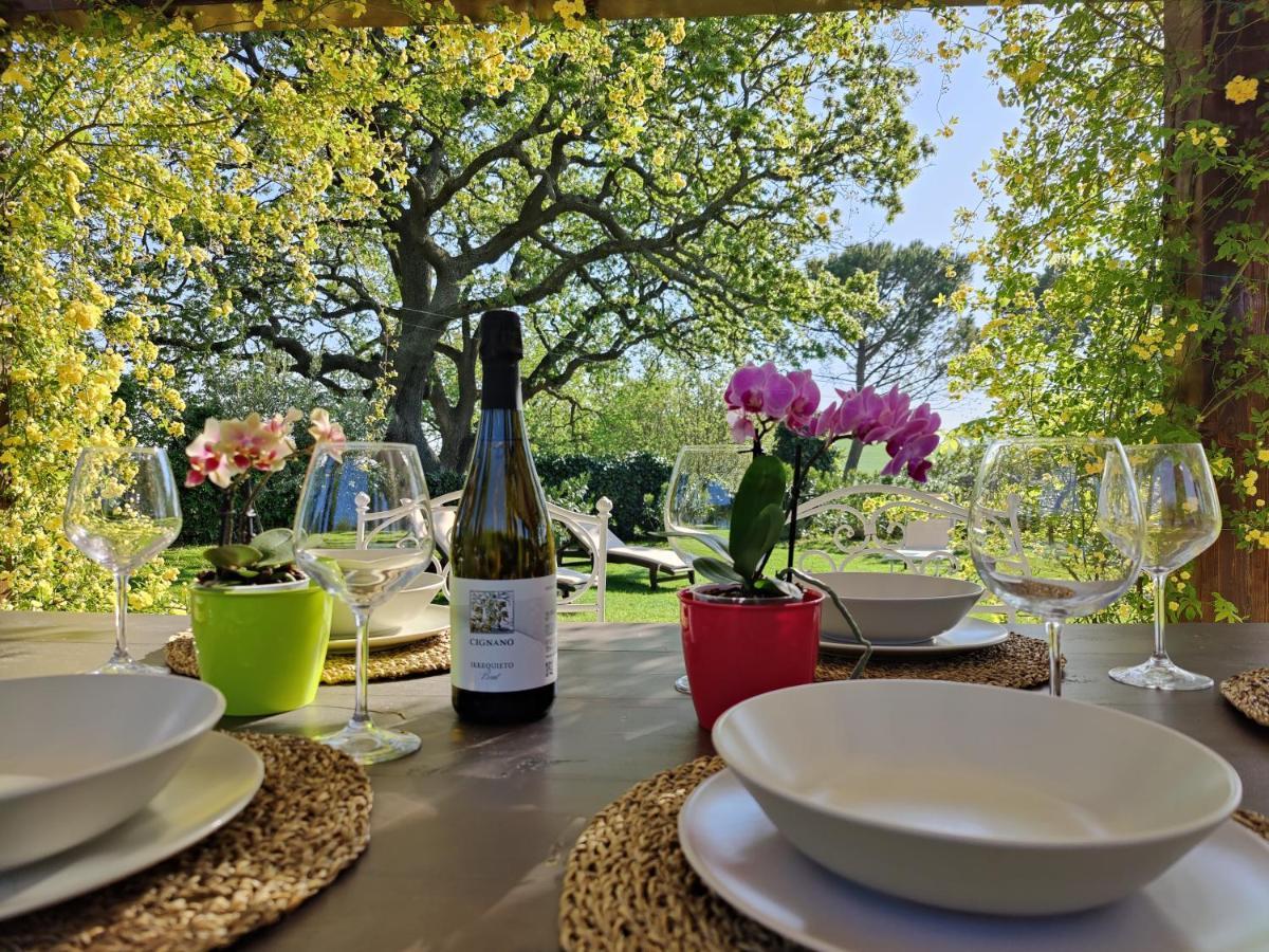 Ca' Le Cerque, Villa Surrounded By The Marche Nature 포솜브로네 외부 사진