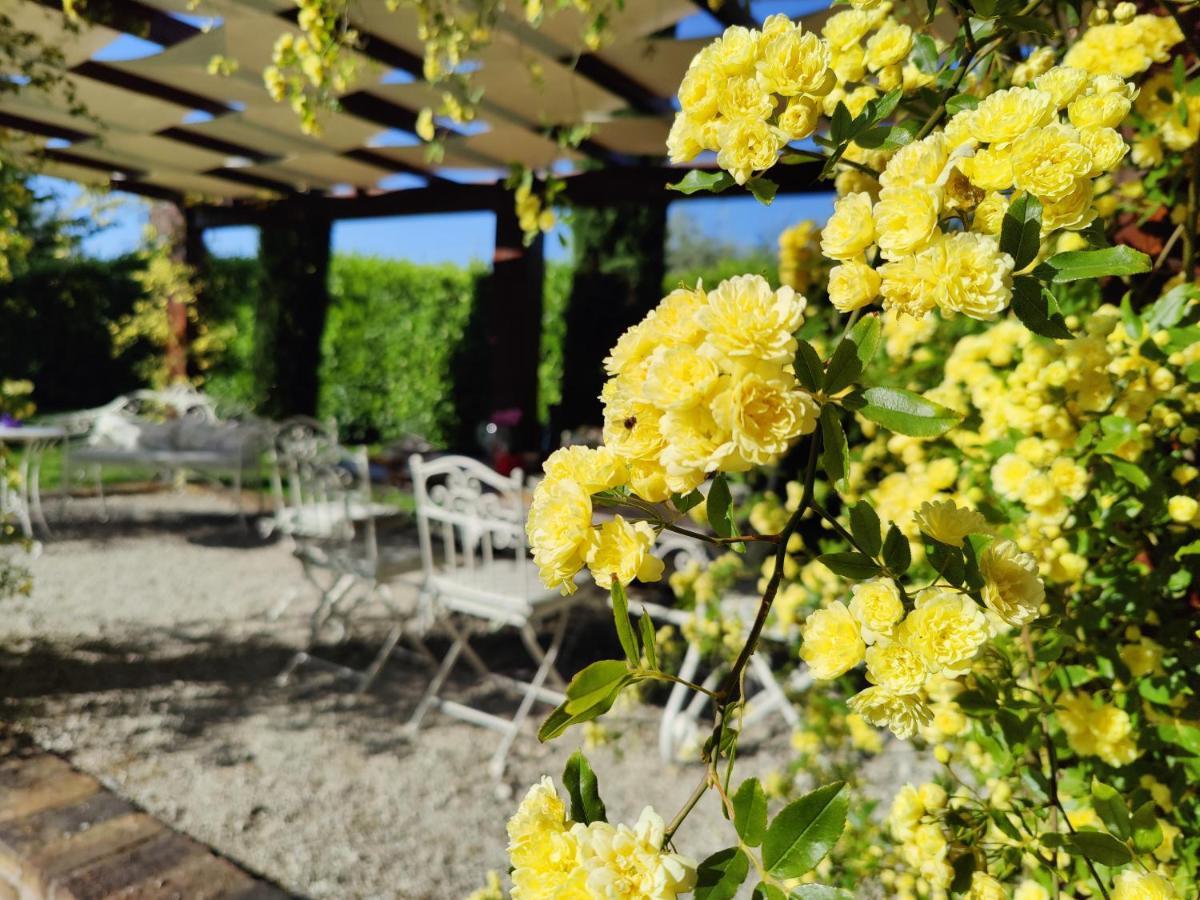 Ca' Le Cerque, Villa Surrounded By The Marche Nature 포솜브로네 외부 사진