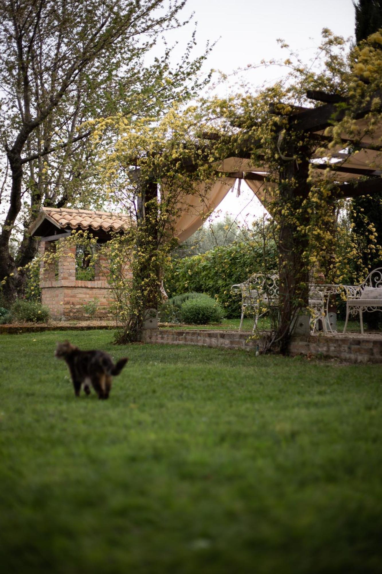 Ca' Le Cerque, Villa Surrounded By The Marche Nature 포솜브로네 외부 사진