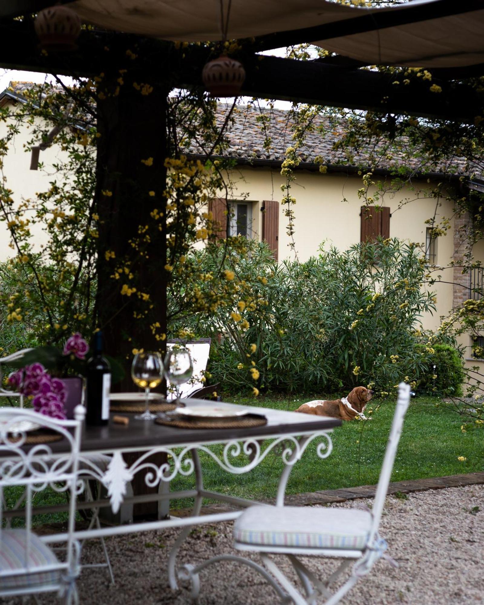 Ca' Le Cerque, Villa Surrounded By The Marche Nature 포솜브로네 외부 사진