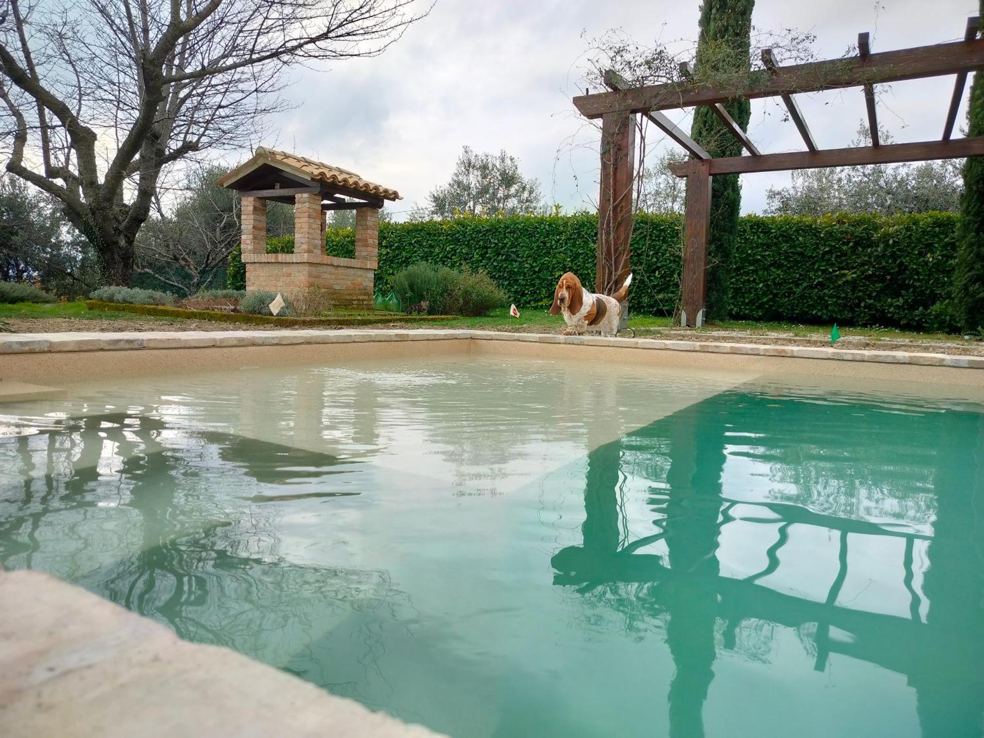 Ca' Le Cerque, Villa Surrounded By The Marche Nature 포솜브로네 외부 사진